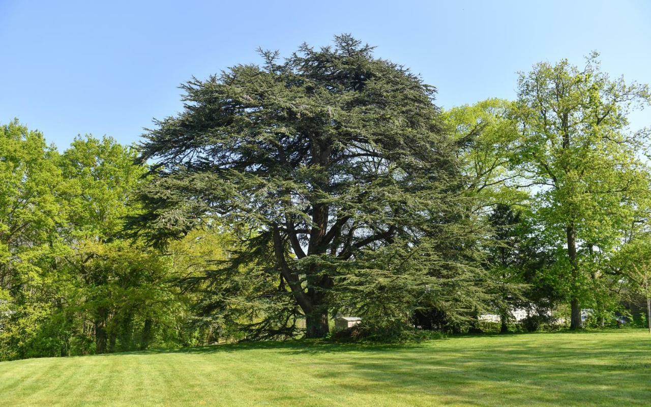 Bed and Breakfast Chateau De La Grand'Cour Grandchamp-des-Fontaines Exterior foto